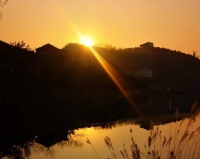 夜雨丨禄兴明：总有一束光你不会错过（组诗）