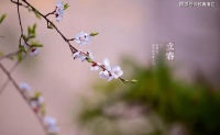 立春 | 四时之始，万物生发，正是祈福纳喜好时节
