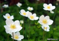 你命里的“贵人”，身上都有以下五个特征，遇到了要好好珍惜
