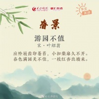 绝美！8首诗词写尽春天