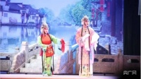 菊苑流芳 彰显辽宁魅力