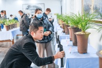江苏靖江：200盆精品兰花竞放春兰展销会