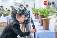一睹花中君子风采 200盆精品兰花竞放春兰展销会