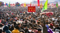 宝丰：一线监督 医疗保障护航马街书会