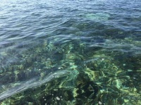 夜雨丨屿夫：做一簇浪花，做一抔沙粒（外一首）
