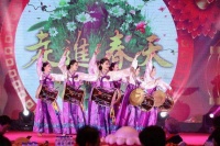 吉林省文学艺术界2023元宵茶话会在长春举行