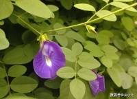 真正的自律，就是顺应“天性”