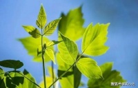 短短的五句话，读懂，悟透，你就通透了