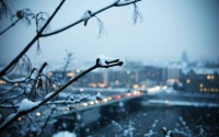 夜雨丨梁光萍：时间的断枝（组诗）