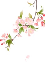 山东省文化馆搞活“非遗月”