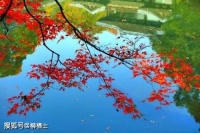 【古诗词鉴赏】宋代词人欧阳修《采桑子 · 轻舟短棹西湖好》词赏析