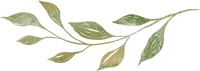 情人节特辑 | 用Ta描画爱情的模样