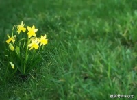 一个人，若是能让你有以下感觉，说明你遇到了对的人