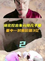 湖北挖出朱元璋儿子墓，墓中一对瓶价值3亿