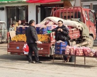 汪涵在郑州街头卖水果被偶遇，生意惨淡无人问津，靠卖艺吸引顾客