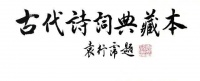 16本书，走进诗词的世界