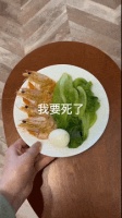 减肥人的一生