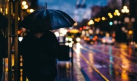 品读｜想要少淋些雨，就得拥有自己的屋榆