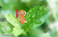 【古诗词赏析】宋代诗人刘辰翁《 雨水时节》诗赏析