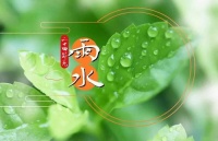 今日雨水｜甘雨时降 万物生新
