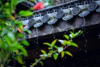 夜雨丨三都河：雨水节气喊雨