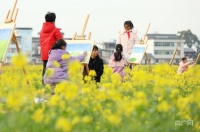 江西赣州：千亩花田来了一批“小画家”