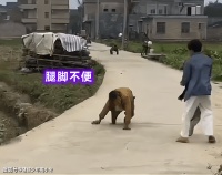 说不出的心酸！广西一家五口，四个人行动不便，唯一正常的不在了