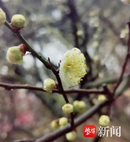 美好春光“拍了拍”你！ “童眼寻春”青少年摄影作品征集活动喊你投稿啦