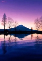 大S和安以轩：被豪门梦和公主命坑惨的人生