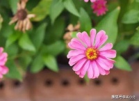 两个人缘尽之前，会有以下三个征兆！你若是不想错过，就尽早补救
