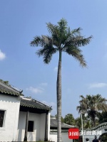 在人生的幸与不幸中 都能与东坡相遇｜寻路东坡·儋州手记