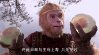 唐僧肉和人参果都可以长生，为何妖怪们都抢吃唐僧肉，而不去抢人参果呢？