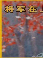 导演只是让王楚然来跳个舞，她直接跳成了人间真绝色！