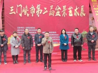 三门峡市第二届“绿美崤函”盆景艺术节开幕
