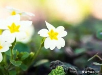 与人交往时，你若是不懂这四个处世“法则”，容易吃亏，被人算计