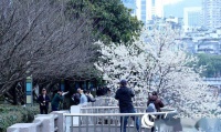 当“春花”开满贵阳街巷……