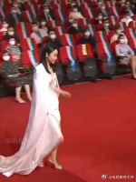 击败孙俪夺得第26届白玉兰最佳女主角……