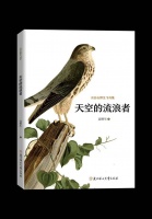鸟儿是飞翔的火焰｜书评