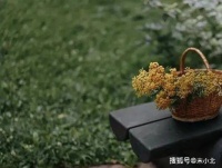 心无杂念，人生就顺了