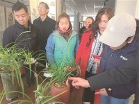 养兰品兰， 山西兰友引领文明新风尚
