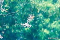 令人大彻大悟的六句话，越读越通透