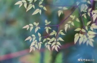 男人爱你到极致的样子：做到这两点