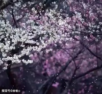 春雨在唐诗宋词里飘落成最美