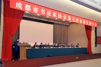 成都市书法家协会换届：王兴国当选市书协主席