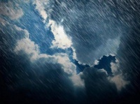 夜雨丨谭雪梅：今夜无眠（组诗）