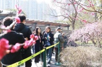 上海自然博物馆全新推出“趣逛自然”教育品牌，寻找春天的第一枝梅花