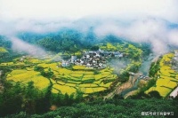 先自我觉知，后接纳自己