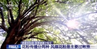 春暖花开，防范花粉过敏实用指南请收好→