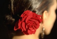 宋慧乔：离婚后才会知道，其实这个男人没有那么喜欢你