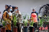 成都杜甫草堂兰花展吸引民众观展